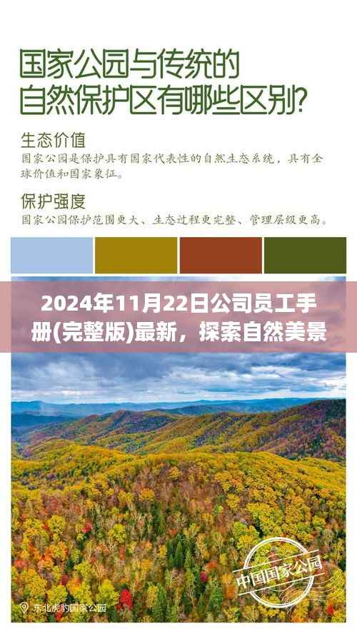2024年全新员工手册,探索自然美景之旅,启程寻找内心的宁静与平和