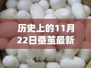 历史上的11月22日蚕茧价格解析,最新价格查询与波动展望