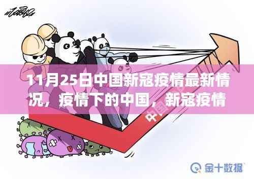 中国新冠疫情最新进展与影响分析报告,11月25日疫情下的中国分析