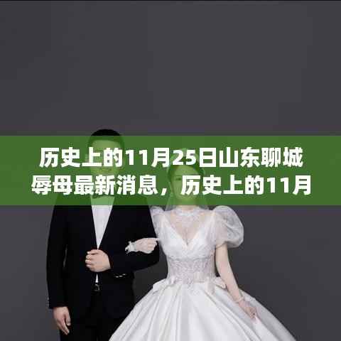 山东聊城辱母事件最新进展全面解析,最新消息与深度解析标题。