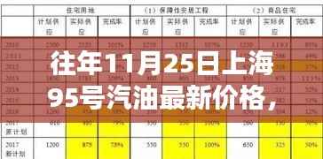 往年11月25日上海95号汽油最新价格,启示中的逆风翱翔与自信成就之路