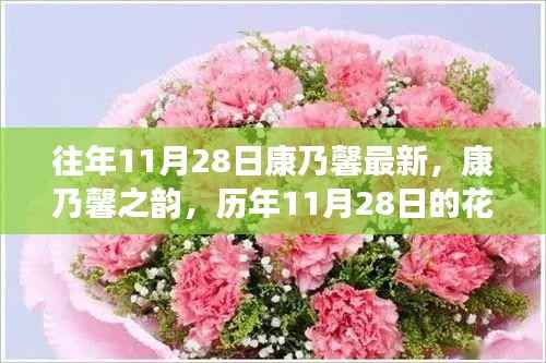 历年11月28日康乃馨回顾,最新花语与深远影响