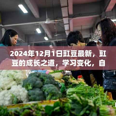 豇豆成长之路，学习变化，自信闪耀，展望2024年未来成就