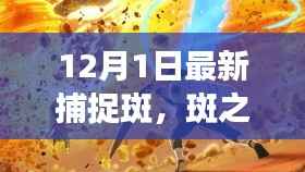 最新捕捉斑事件揭秘,斑之影的深度解析