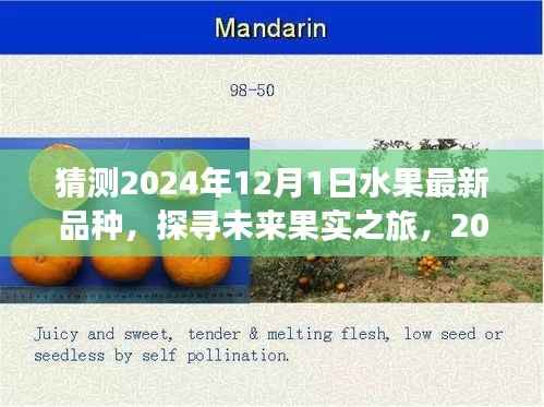 探寻未来果实之旅,揭秘2024年神秘水果新纪元与内心宁静之旅的启示
