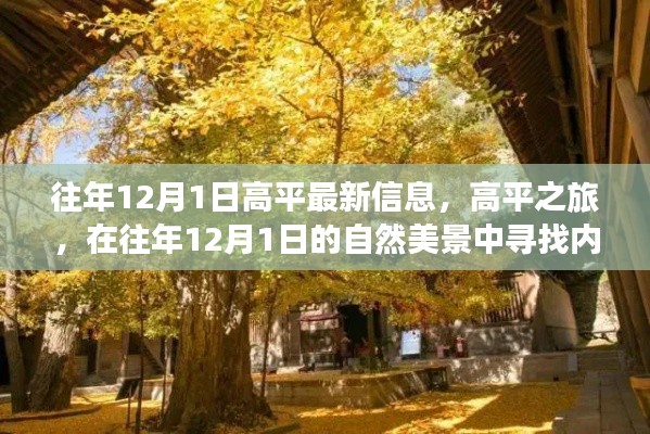 往年12月1日高平之旅,自然美景中的内心平静探寻