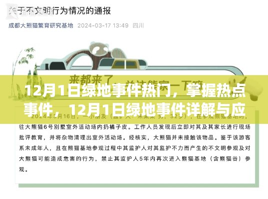 12月1日绿地事件详解与应对步骤指南,掌握热点事件,应对风险挑战