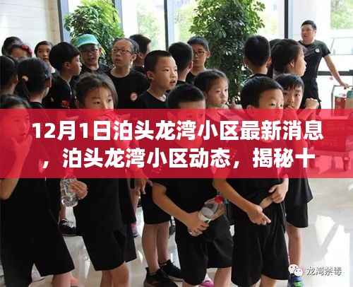 泊头龙湾小区动态揭秘，最新消息背后的故事（12月1日）