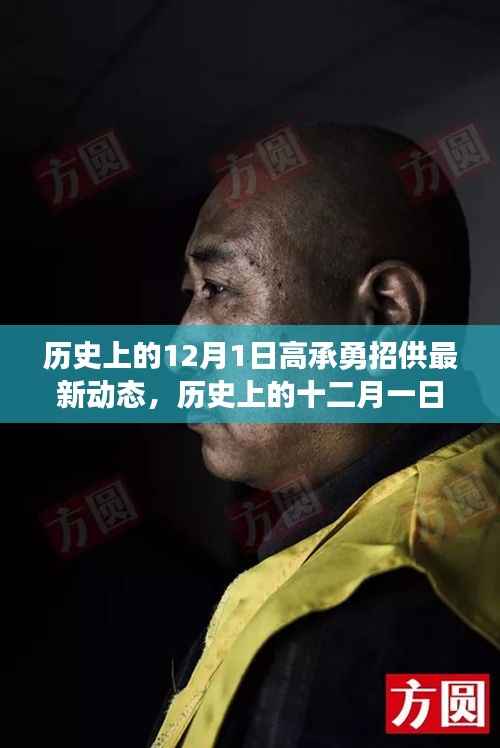 高承勇招供最新动态,十二月一日的进展与深度分析