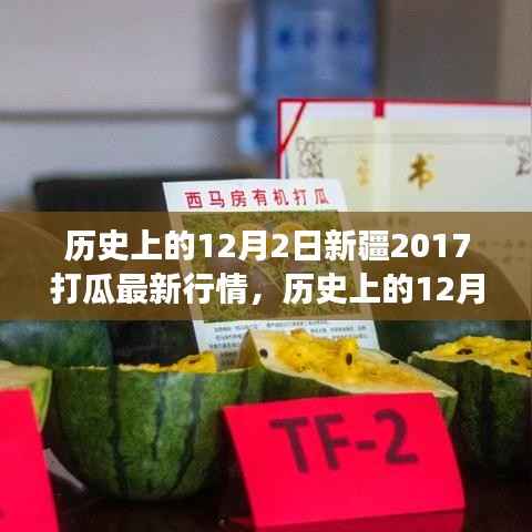 历史上的12月2日,新疆瓜田励志故事与打瓜行情的魅力展现