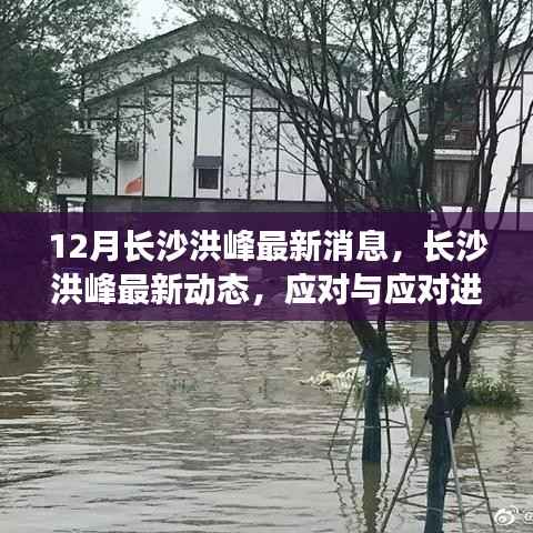 长沙洪峰动态更新,应对进展分析与科普解读