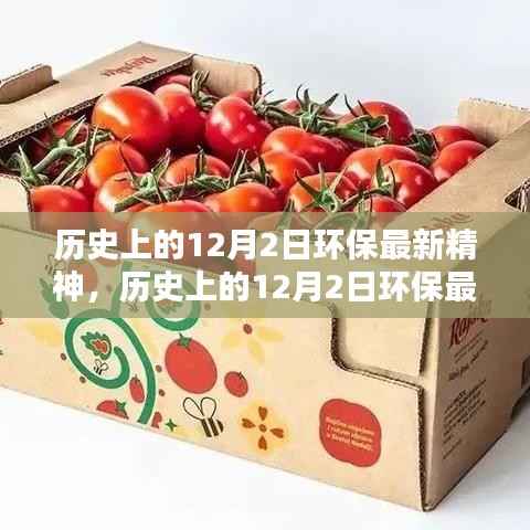 历史上的12月2日环保精神深度解读,实践绿色生活的全面指南