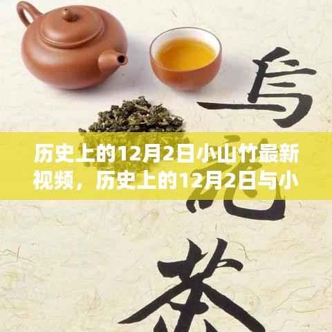 历史上的12月2日与小山竹最新视频,文化与科技的完美交融之夜