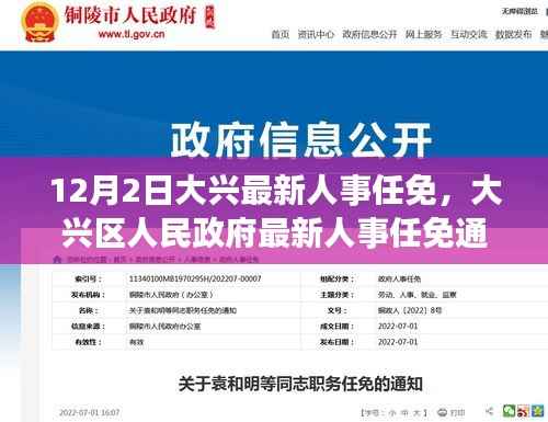 大兴区人民政府人事任免通知,最新人事调整动态发布(12月2日)