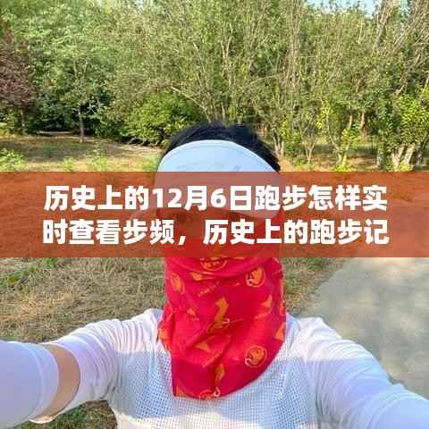 如何实时查看历史跑步记录与步频指南,操作教程