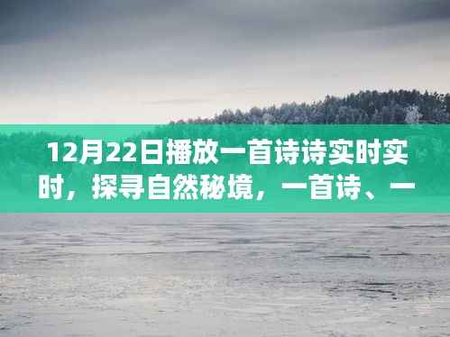 12月22日启程,诗意探寻自然秘境的宁静之旅
