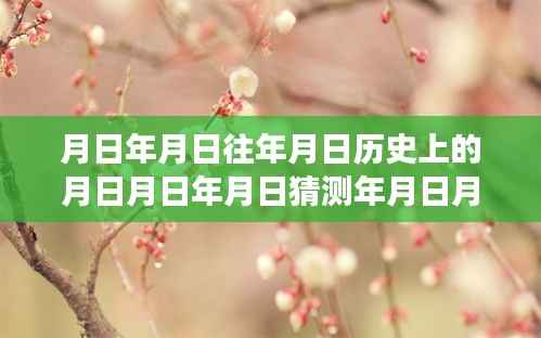 月日年月日鲜花价格查询之旅，历史与实时信息的交汇点