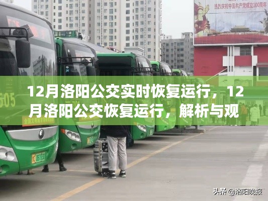洛阳公交恢复运行解析与观点阐述,12月实时调整与运行进展
