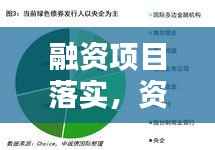 融资项目落实,资金流动的关键步骤揭秘