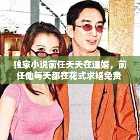 独家小说前任天天在逼婚,前任他每天都在花式求婚免费