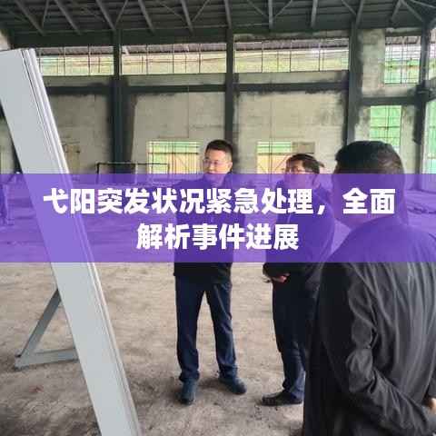 弋阳突发状况紧急处理，全面解析事件进展