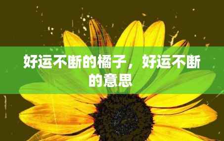 好运不断的橘子,好运不断的意思