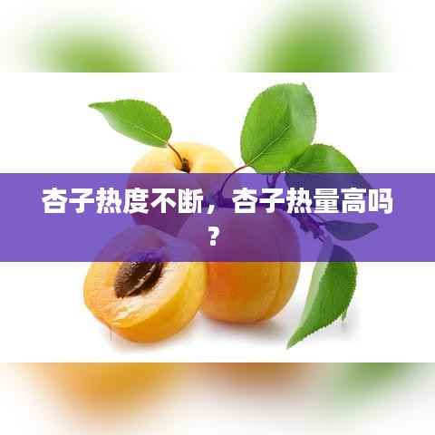 杏子热度不断,杏子热量高吗?