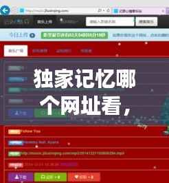 独家记忆哪个网址看,独家记忆讲的是什么故事