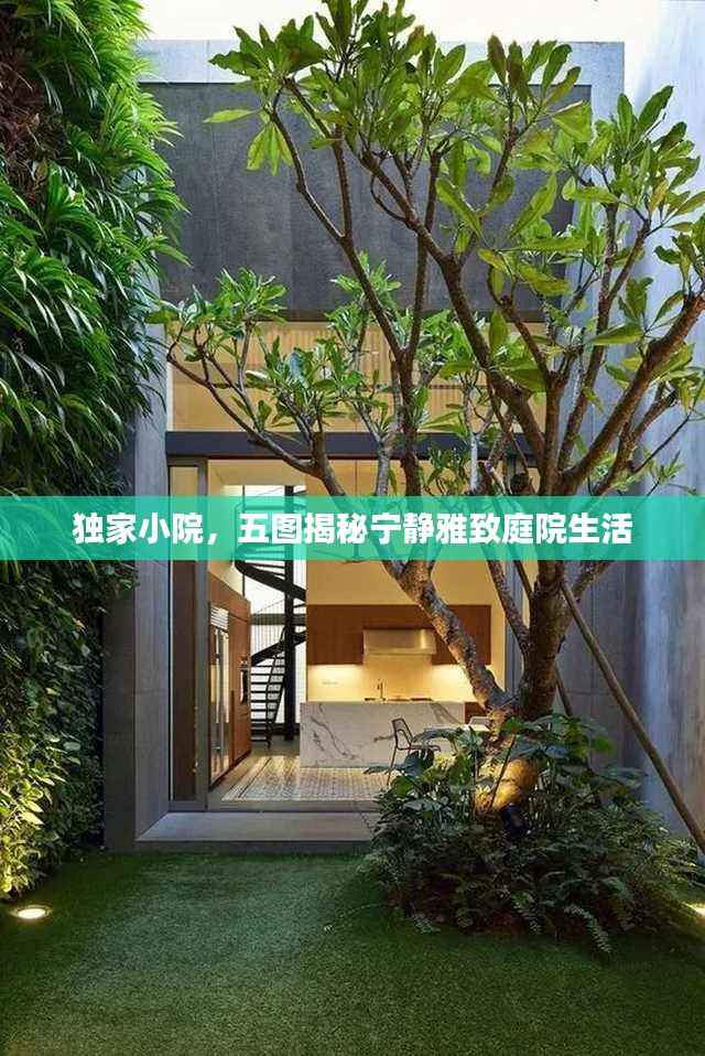独家小院，五图揭秘宁静雅致庭院生活