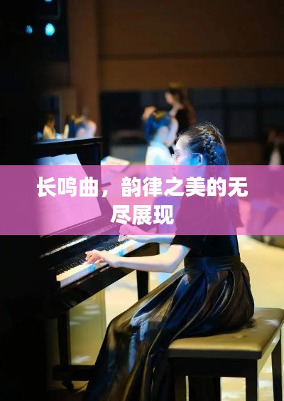 长鸣曲,韵律之美的无尽展现