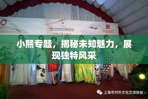 小熙专题,揭秘未知魅力,展现独特风采