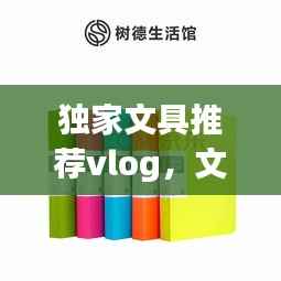独家文具推荐vlog，文具品牌小众 