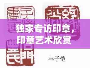 独家专访印章，印章艺术欣赏 