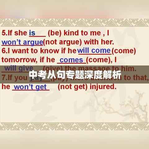 中考从句专题深度解析