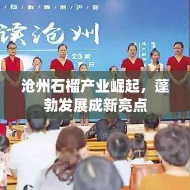 沧州石榴产业崛起,蓬勃发展成新亮点