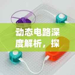 动态电路深度解析,探究电路动态行为专题1