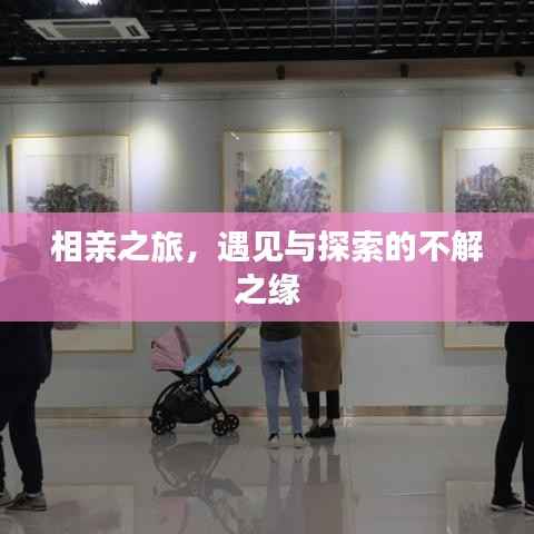 相亲之旅,遇见与探索的不解之缘