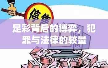 足彩背后的博弈,犯罪与法律的较量