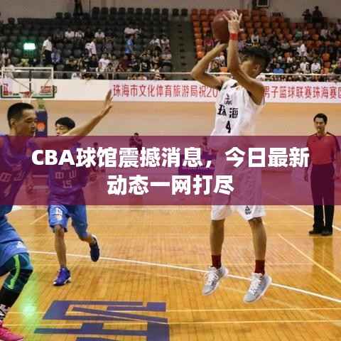 CBA球馆震撼消息,今日最新动态一网打尽