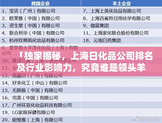 「独家揭秘,上海日化品公司排名及行业影响力,究竟谁是领头羊?」