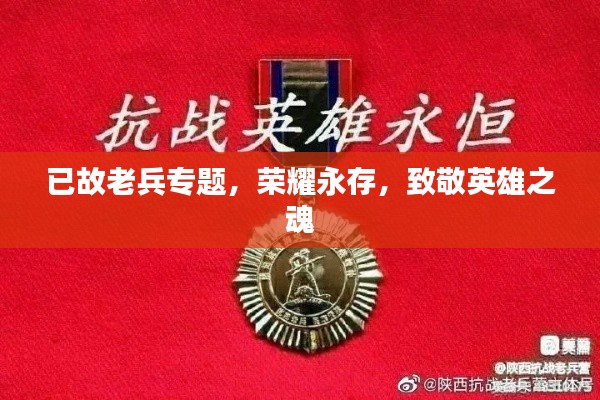 已故老兵专题,荣耀永存,致敬英雄之魂