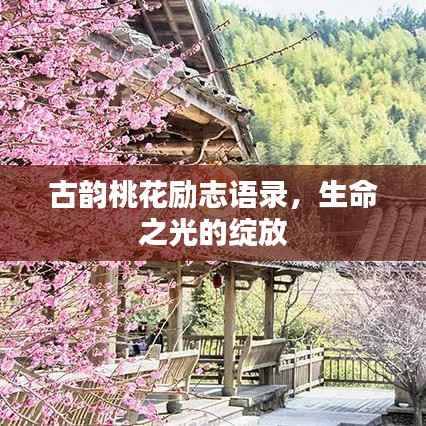 古韵桃花励志语录,生命之光的绽放