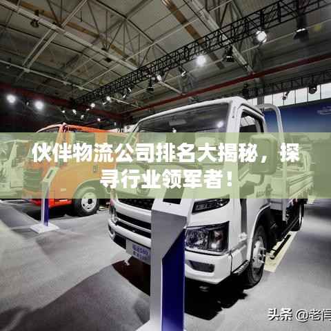 伙伴物流公司排名大揭秘,探寻行业领军者!