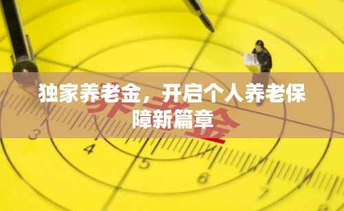 独家养老金,开启个人养老保障新篇章