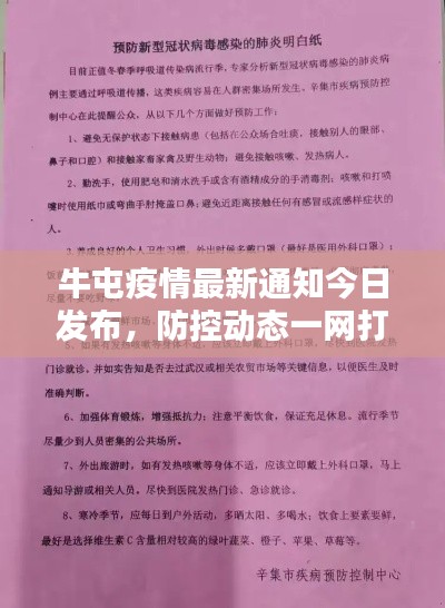 牛屯疫情最新通知今日发布,防控动态一网打尽!