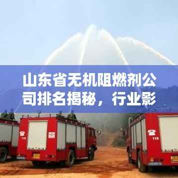 山东省无机阻燃剂公司排名揭秘,行业影响力大揭秘!