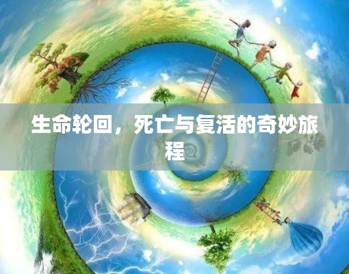 生命轮回,死亡与复活的奇妙旅程