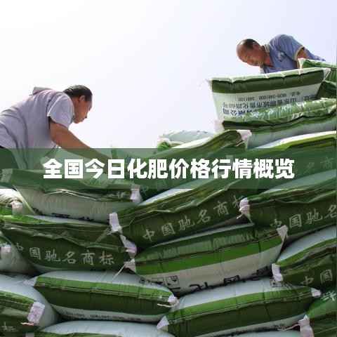 全国今日化肥价格行情概览