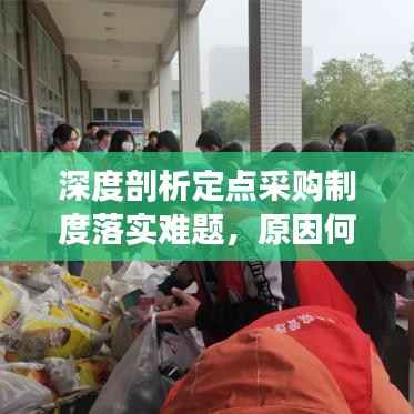 深度剖析定点采购制度落实难题,原因何在?
