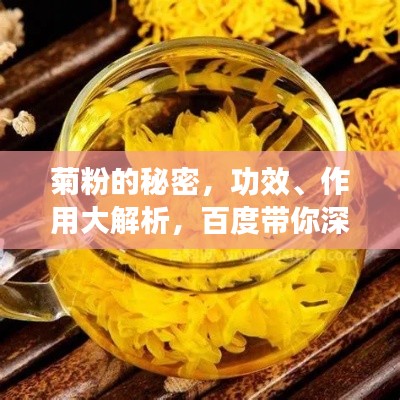 菊粉的秘密,功效、作用大解析,百度带你深入了解!